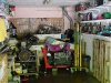 garage Cees.jpg