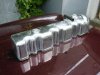 05.06.10.08 Dragster mit Chrome-Ventildeckel_600x600_49KB.jpg