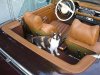 05.06.27.01  Lillifee.jpg