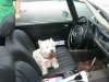 05.08.27.15 Car-Dog.jpg