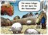 Schafe.jpg