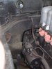 IMG_3981_100KB.jpg