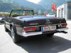SL 250 fertig 009.jpg