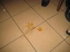 IMG_5576.jpg