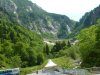 Bild 153.jpg