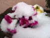 2013Leica1040656.gif