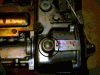 P5010016.gif
