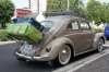 IMG_1600_600x600_50KB.jpg