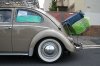 IMG_1602_600x600_50KB.jpg
