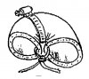 WasserschlauchKlein.jpg
