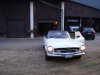 luce mercedes 007.jpg