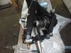 DSC01177.jpg