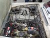 DSC01255.jpg