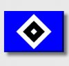 HSV.jpg