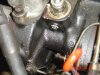 DSC01387.jpg