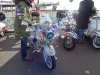 DSC00394.jpg