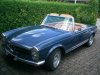July 09 001bearb..JPG