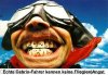 Cabriofliegen31.JPG