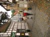 Herschaalde kopie van IMG_8478.jpg