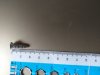 Bilder Handy 046.jpg