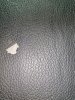 IMG_20250325_161520.jpg