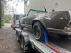 IMG_6482.jpeg
