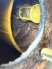 IMG_3891.jpeg