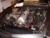 DSC01736.JPG