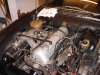 DSC01738.JPG