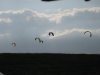 IMG_1889.jpg
