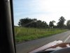 IMG_1513.jpg