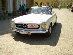 113-250SL