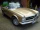 W113 Freddy