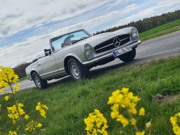 Harald_280