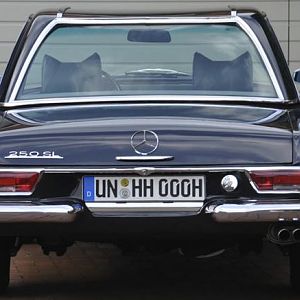 Pag_rear.jpg