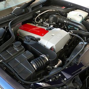 w208_(6).JPG