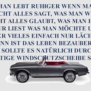 Schlauer Spruch
