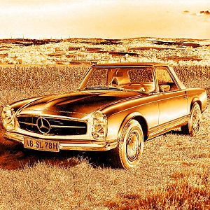 2020-04_Rapsfeld_Gold