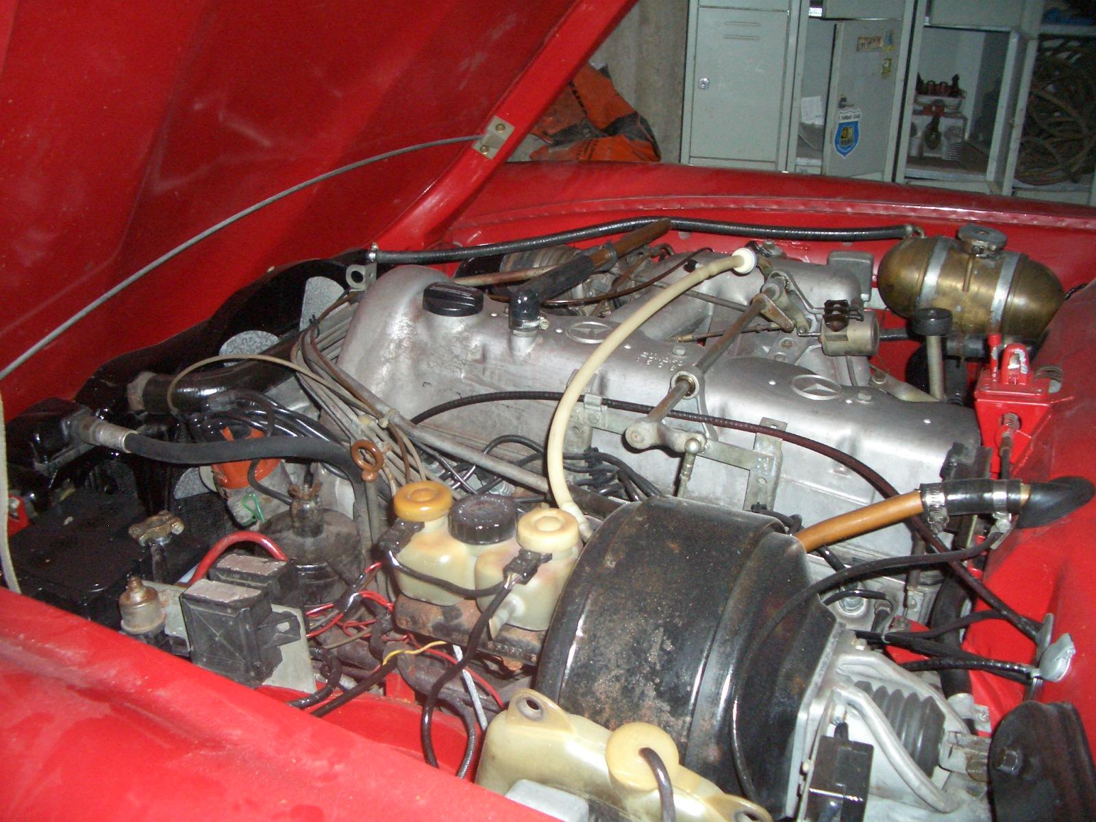 CIMG2355.JPG