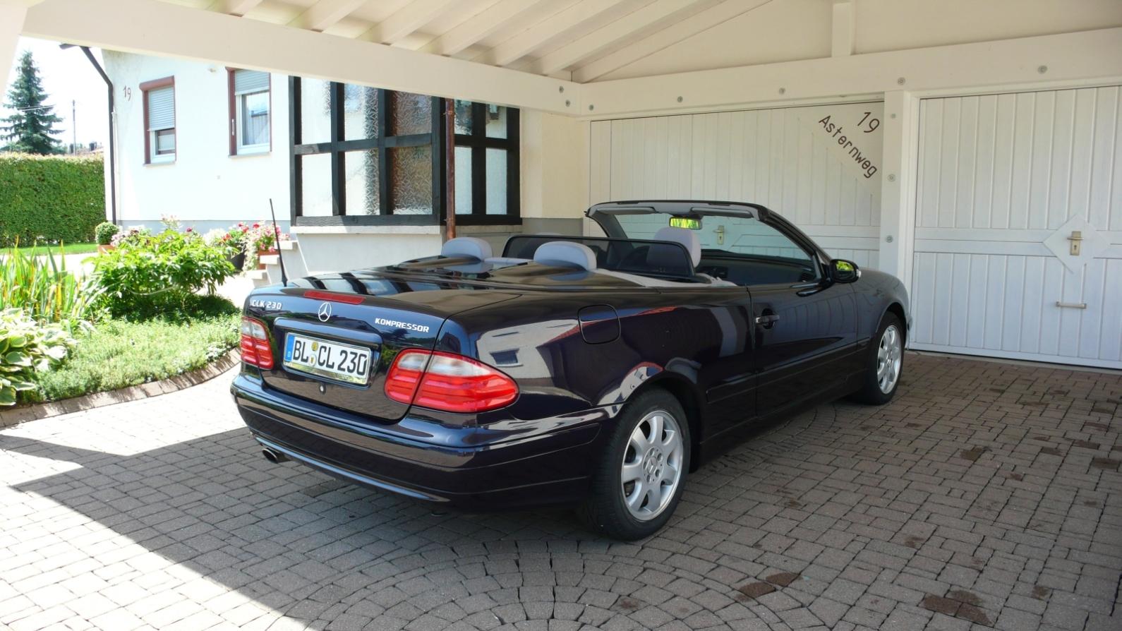 w208_(1).JPG